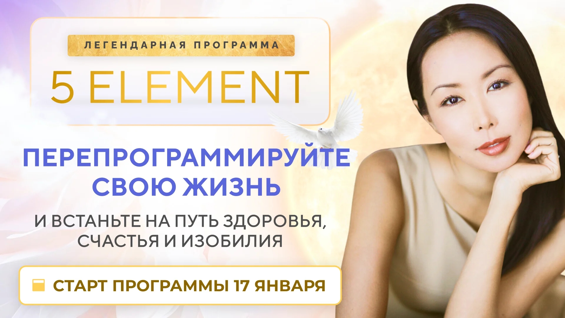 5 Element Promo Banner